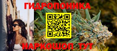 spice Славгород